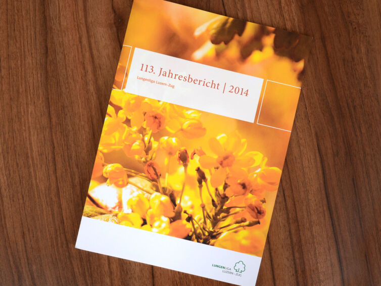 Jahresbericht in ansprechender Form auf perfekt abgestimmtes Papier gedruckt