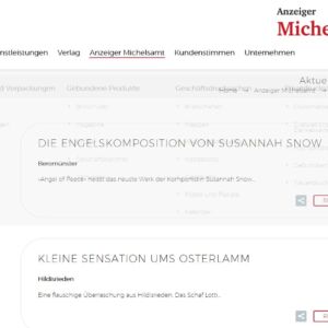 Neue Homepage der Wallimann Druck und Verlag AG ist online