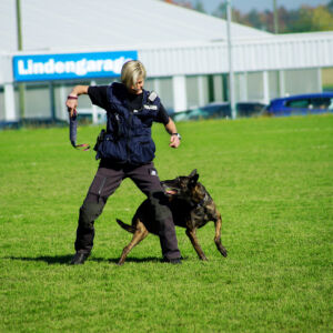 Vorführung eines Polizeieinsatzes an der Gewerbeausstellung Stärne füfi in Beromünster