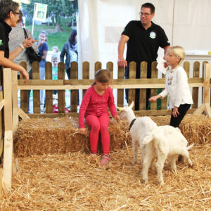 Die Landi an der Gewerbeausstellung Stärne füfi in Beromünster
