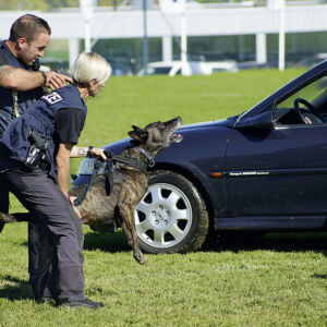 Simulierter Polizeieinsatz an der Gewerbeausstellung Stärne füfi in Beromünster