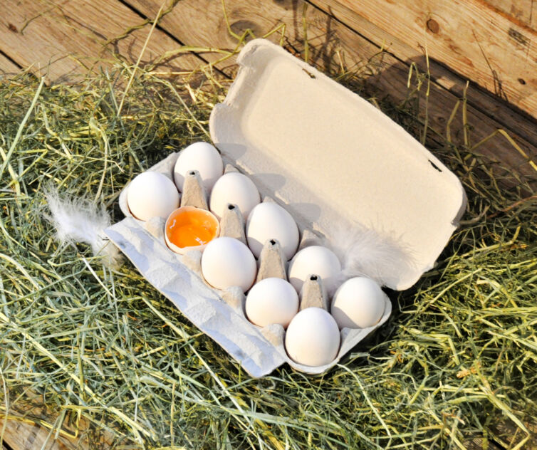 Frische Eier vom Hof Herzige in Rain.