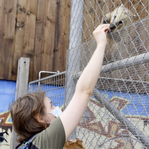 Making of «Di Lernende öbernänd» Wallimann im «swiss print+communication» ein Projekt der Lernenden Wallifrauen