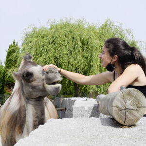 Making of «Di Lernende öbernänd» Wallimann im «swiss print+communication» ein Projekt der Lernenden Wallifrauen