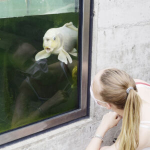 Making of «Di Lernende öbernänd» Wallimann im «swiss print+communication» ein Projekt der Lernenden Wallifrauen